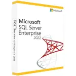 Microsoft SQL Server 2022 Enterprise 2 Core License Pack (Perpetual)